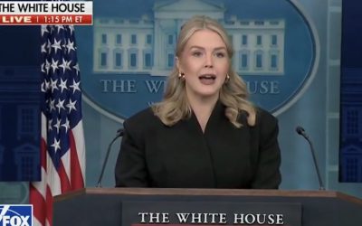 Screenshot 2025-12-11 at 8.37.24 PM